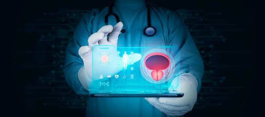 Bladder and prostate, HTA. Prostate cancer, bladder cancer, men's health care. Modern digital...