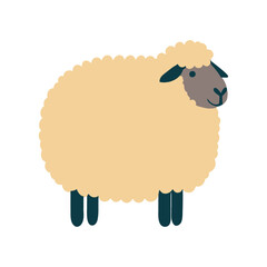 flat sheep illustration