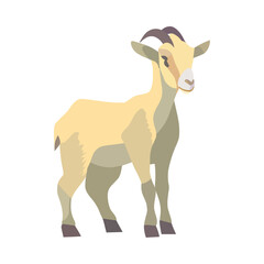 flat goat illustration
