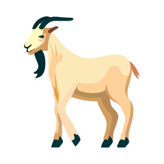 flat cute goat
