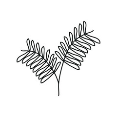 vector plant illustration branch leaf