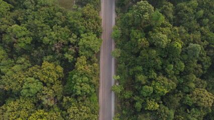 Road through the green forest, Aerial view car truck drive going through forest, Aerial top view forest, Texture of forest view from above, Ecosystem and healthy environment concept and background.