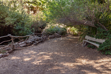 Walkway passing through the ornate Botanical Garden in Eilat city, southern Israel