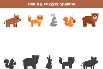 Find the correct shadows of cute forest animals. Logical puzzle for kids.