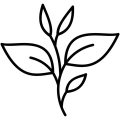 green tea icon, line icon style, nature tea leaves symbol vector stock.