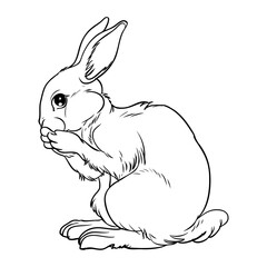 rabbit sketch vector illustration
