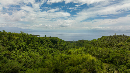 Fototapeta na wymiar View from the jungle and rainforest to the sea. Cebu, Philippines.