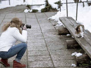 person taking a photo of a cat