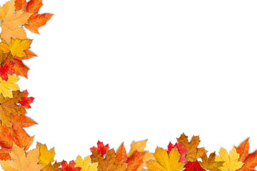 Naklejka na ściany i meble Autumn Transparent Background with Orange Leaves | Maple Leaves