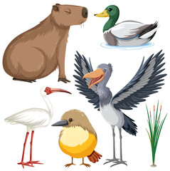 Various Wetland Animals Collection