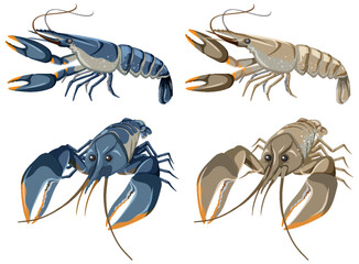 Set of Lobster Isolated