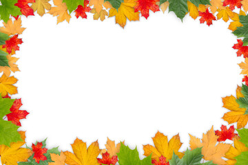 Naklejka na ściany i meble Autumn Transparent Background Leaves | Maple Leaves