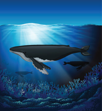 Blue Whale in the Deep Blue Sea