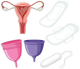 Set of menstrual equipment
