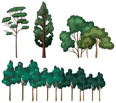 Set of tree isolated