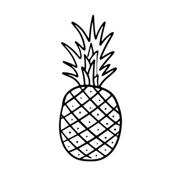 Pineapple doodle illustration. Cute fruit