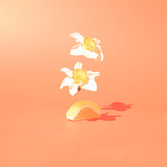 background with butterflies