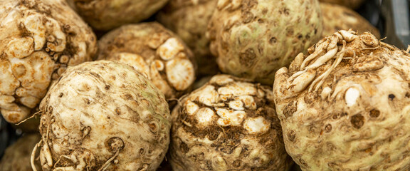 Celery root on the counter in the store. Health and useful products. Diets and vitamins. Close-up....