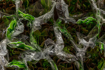 Green lettuce leaves in bags on the counter. Health, vitamins and natural products. Top view. Close-up.