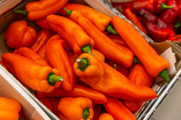 Sweet orange bell pepper with an elongated shape on the counter. Health, vitamins and natural...