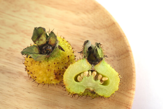The fruit of Rosa roxburghii Tratt(Chinese:cili),Varieties grown in Guizhou,China