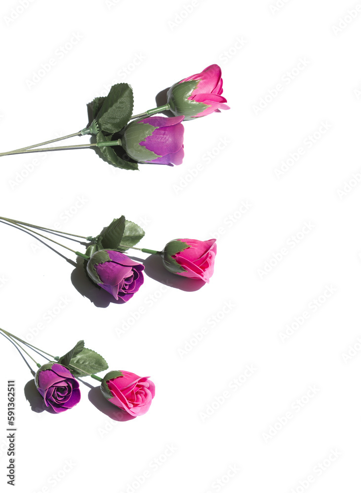 Poster purple and pink rose flower made from soap close-up isolated on white background