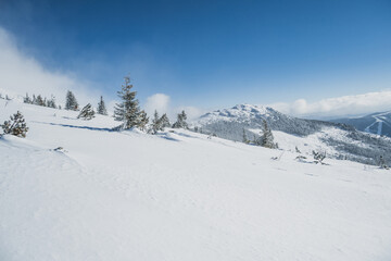 Alpine mountains landscape with white snow and blue sky. Sunset winter in nature. Frosty trees under warm sunlight.  Hiking winter to kralova hola, low tatras slovakia landscape © Zedspider