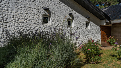 Fototapeta na wymiar Lush bushes of blooming lavender and roses grow near the white wall of the village house on the lawn. Argentina. El Calafate