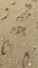 footprints in wet sand