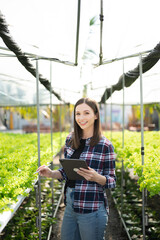 Asian woman farmer looking organic vegetables and holding tablet for checking orders or quality farm