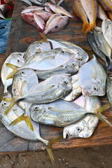 Mercado de pescado