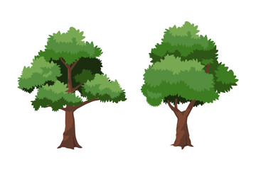 lush old tree vector. suitable for design of cartoon elements and assets