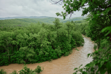 mountain river after rain flows in a forest area