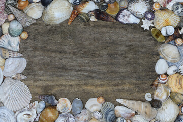 Border frame assortment of Queensland Australia washed up seashells framing a rustic wooden centre background 
