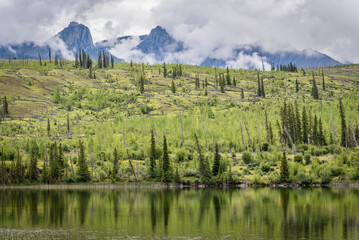 Trees reflecting in the water of Talbot Lake in Jasper National Park, with mountains in the...
