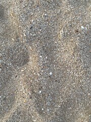 Close-up Shot. Gray beach sand texture as background. - 591374994