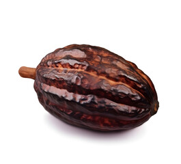 Cacao pod isolated on white backgrounds.Illustratio. Ai generated. AI generated. Illustration.