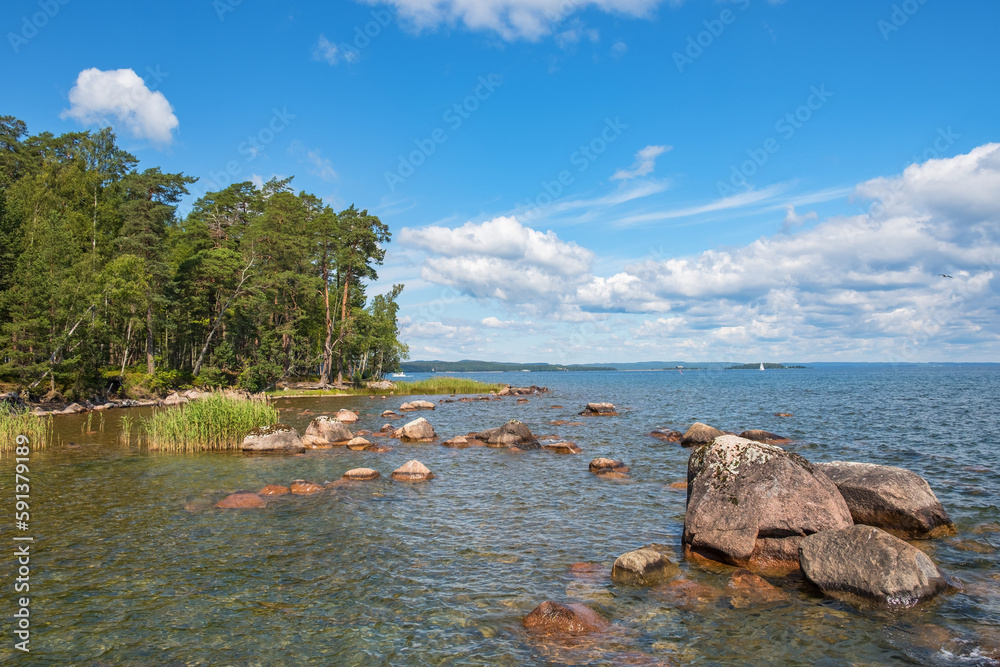 Poster Beautiful view on a beach with a pine forest in summer