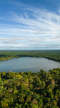 Quistococha Lagoon, a pleasant place to visit near the city of Iquitos in the Peruvian jungle, this place is also home to various animals
