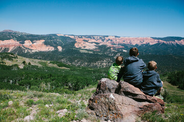 Brothers sitting on red rock looking out at the mountains and forest