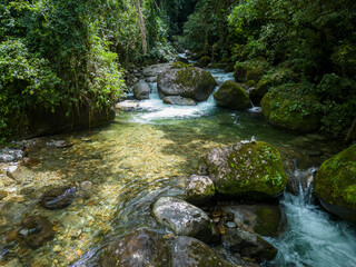 Beautiful view to wild green atlantic rainforest river pool