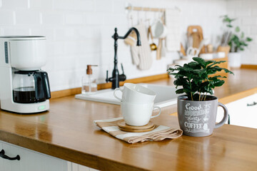 Coffee tree plant on wooden table, view on white kitchen in scandinavian style