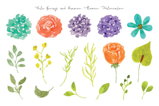 Cute Summer and Spring Flower and Leaf Watercolor