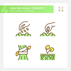 Fototapeta premium Growing plants green RGB color icons set. Organic gardening. Seed germination. Horticulture farming. Crop growth. Isolated vector illustrations. Simple filled line drawings collection. Editable stroke