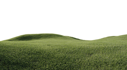 beautiful grass field