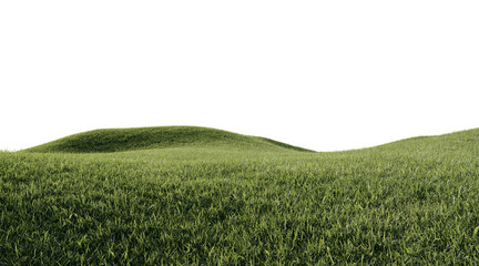 beautiful grass field © Nawaphon