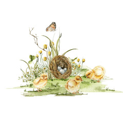 Watercolor nursery set with nest. Hand painted cute baby chick, forest summer landscape, eggs, flowers. Illustration for baby shower design, wall art, easter card
