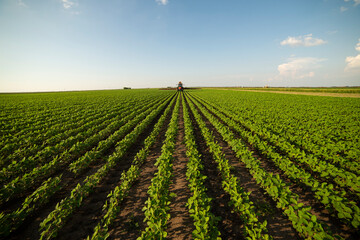 Spraying pesticides at soy bean fields - obrazy, fototapety, plakaty