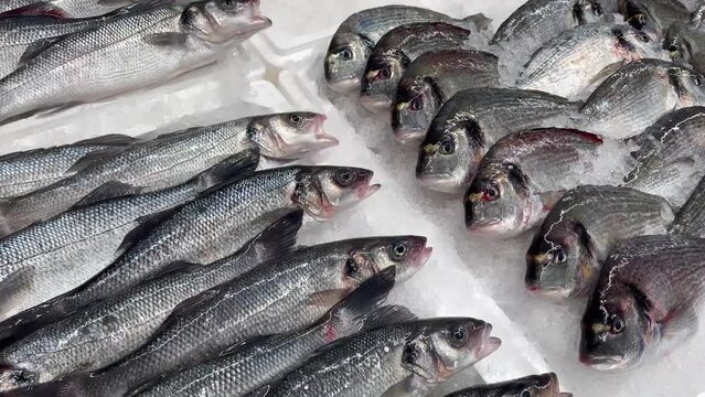 Close-up of fresh raw fish in ice on the counter in a grocery store. High quality FullHD footage
