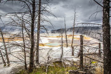 Mammoth hot springs in Yellowstone national Park